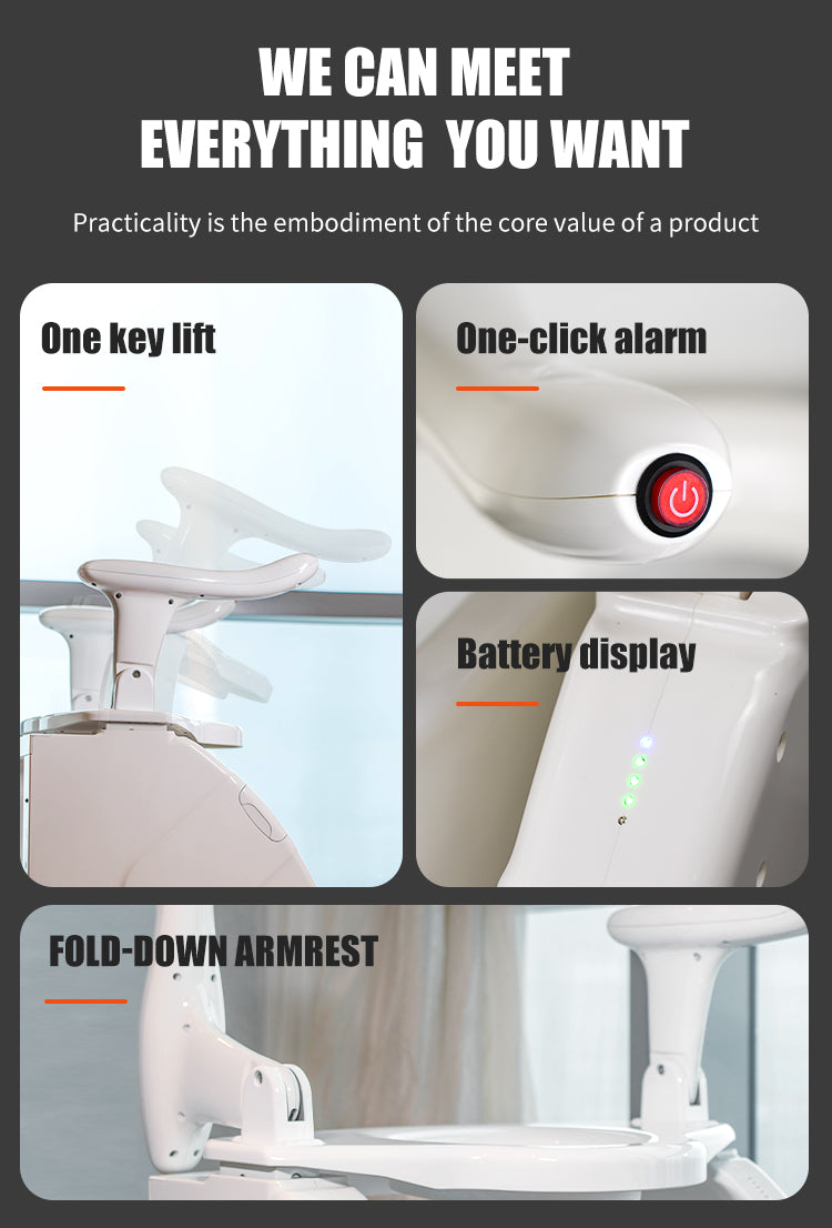 Toilet Lift Chair