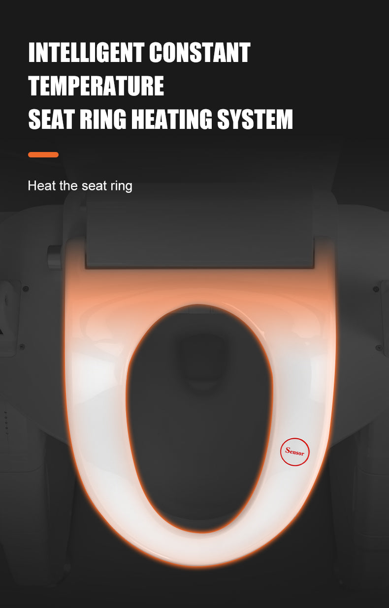 Smart Lift Toilet Chair