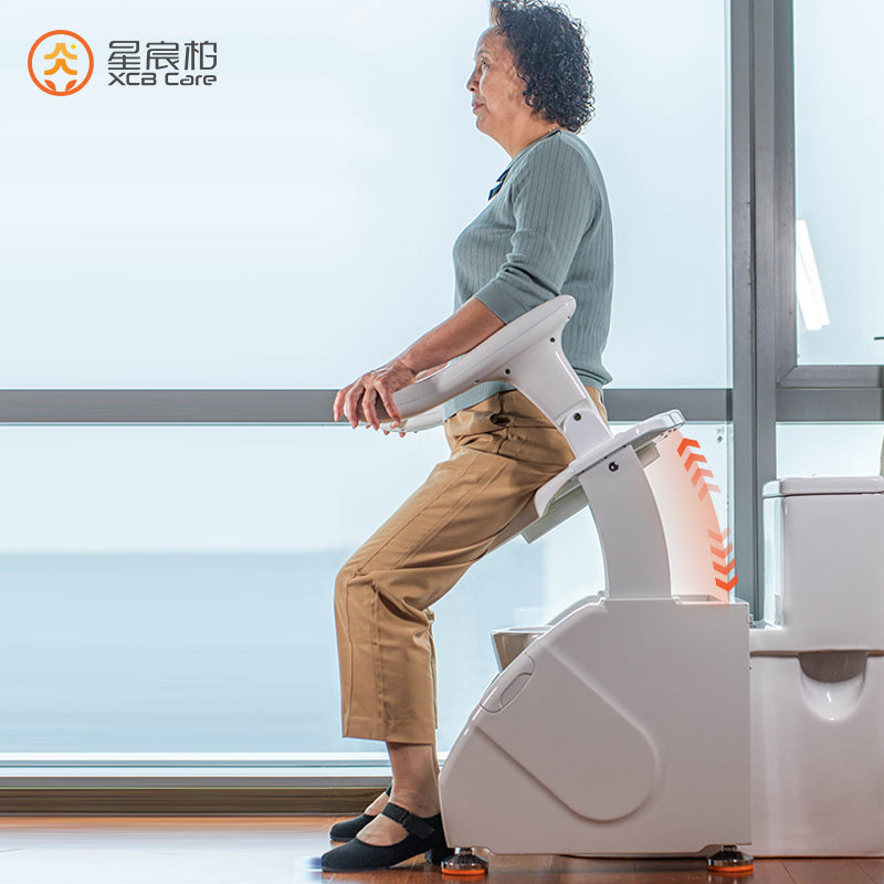 Toilet Lift Chair